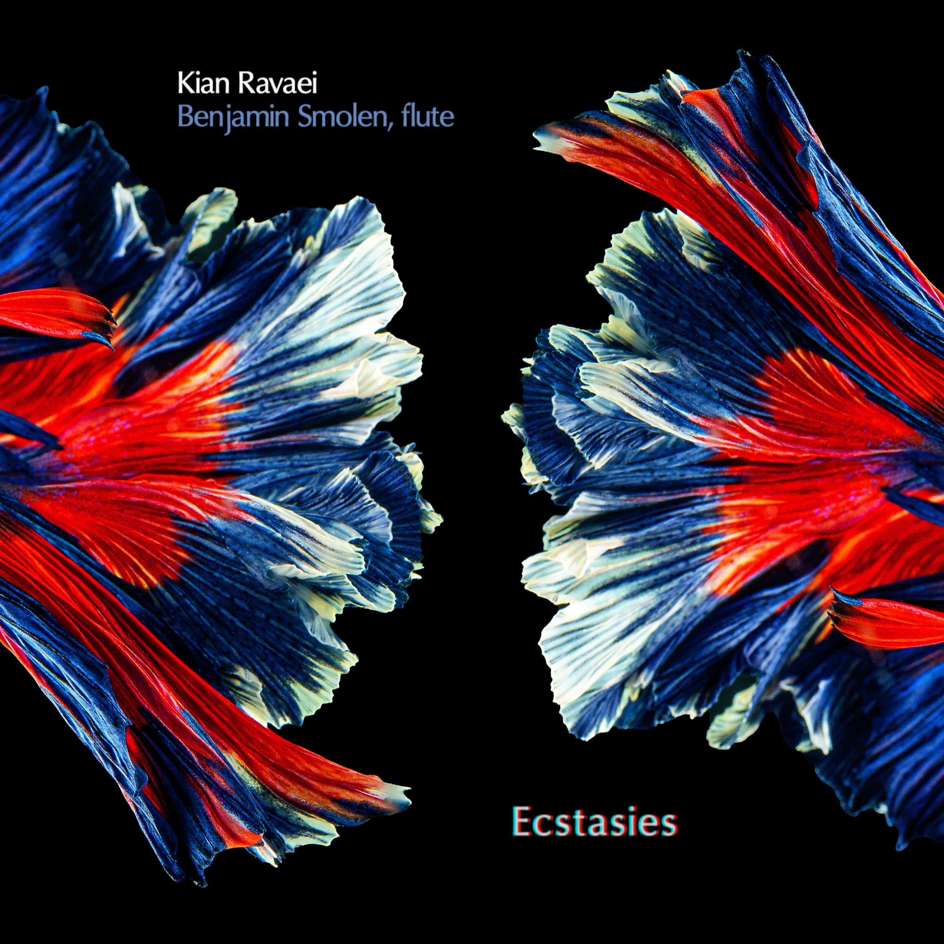 Ecstasies album artwork